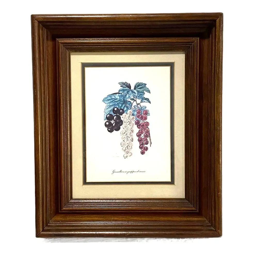 Botanical Lithograph Print Framed in Shadowbox Deep Walnut Solid Wood Frame